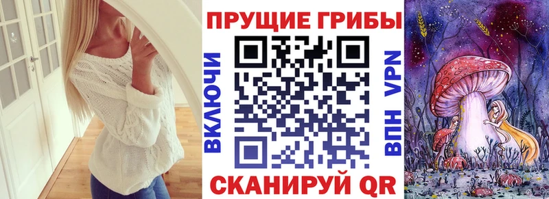 Купить закладки  Еманжелинск  Псилоцибиновые грибы Psilocybe 